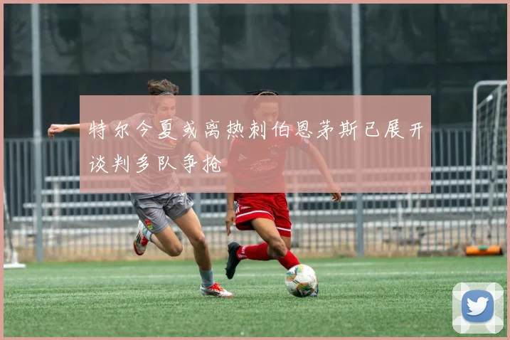 特尔今夏或离热刺伯恩茅斯已展开谈判多队争抢
