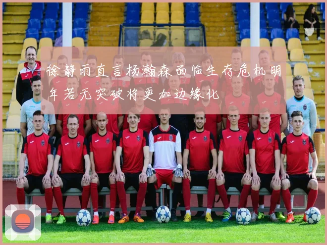 徐静雨直言杨瀚森面临生存危机明年若无突破将更加边缘化